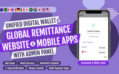 Online Money Transfer Software